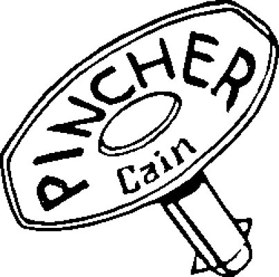 Specialty Pins