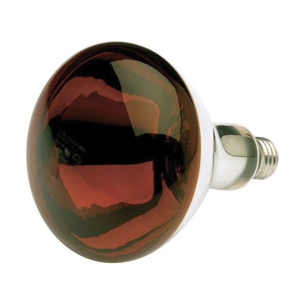 Incandescent - Coated