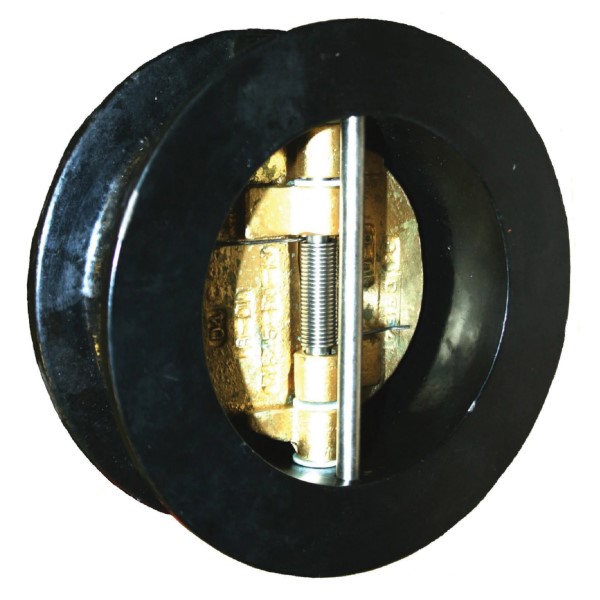 Check Valves & Backflow Preventers