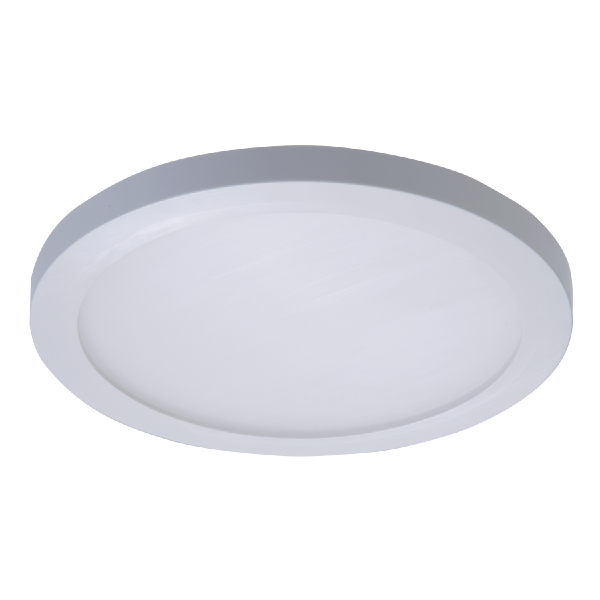 Indoor Surface Mount Fixtures