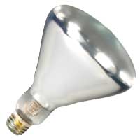 Incandescent - General Purpose